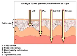 Medidor de radiação Esquema