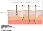 Dosímetro Esquema