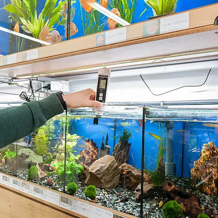 Medidor de agua - Comprobación en un acuario