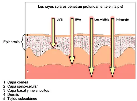 Medidor UV - Influencia de la radiación sobre la piel