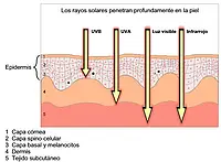 Medidor UV - Influencia de la radiación sobre la piel