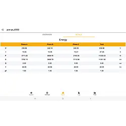 Netz-Analysegerät Screenshot