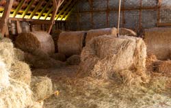Straw can be checked by hay moisture meter.