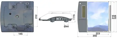 Counting Scale