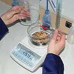 Analytical Balance application