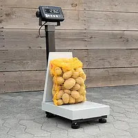 Compact Scale application