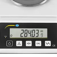 Counting Scale PCE-DMS 310