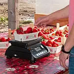 Precision Balance PCE-MS T3P-1-M application