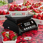 Precision Balance PCE-MS T3P-1-M application