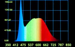 Spektrometr – analiza spektralna / Aplikacja
