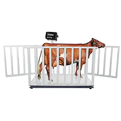 Livestock Scale PCE-MS AC3T-1-100x200-M