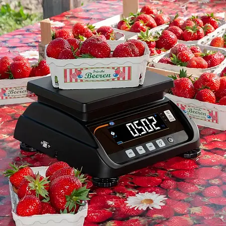 Precision Balance PCE-MS T3P-1-M application