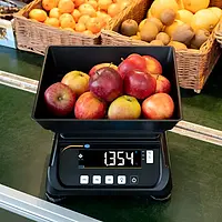 Precision Balance application