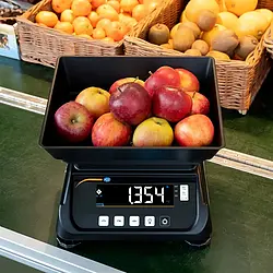 Precision Balance application